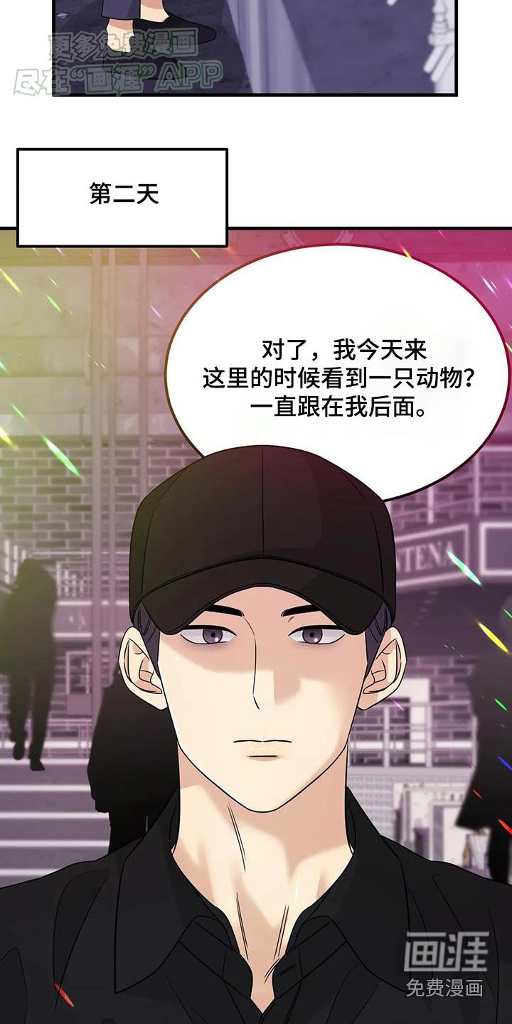 第49章：跟随