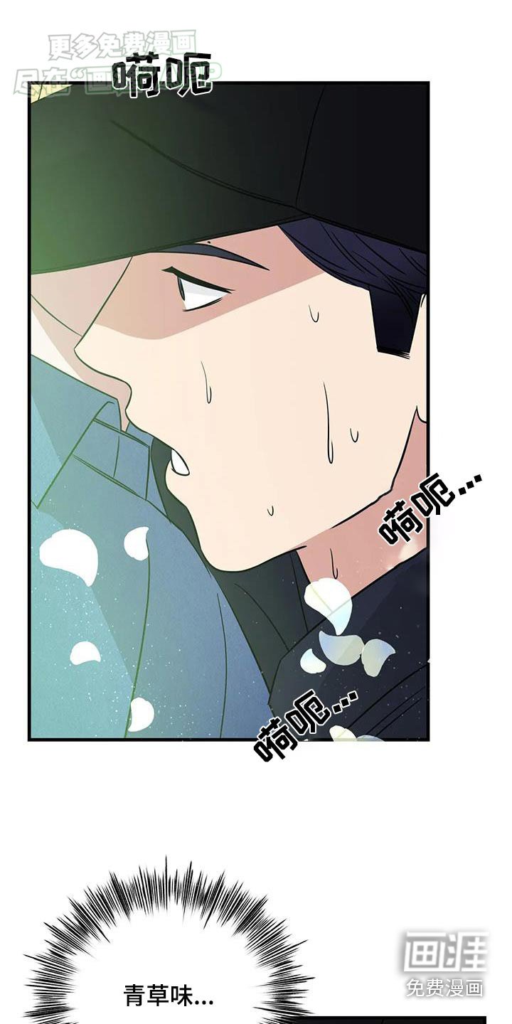 第50章：什么香水