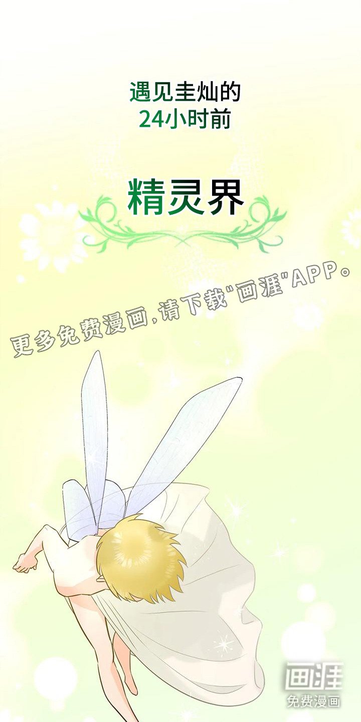 第6章：生命之花