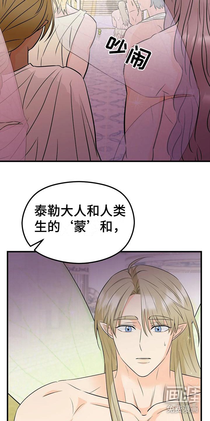 第6章：生命之花