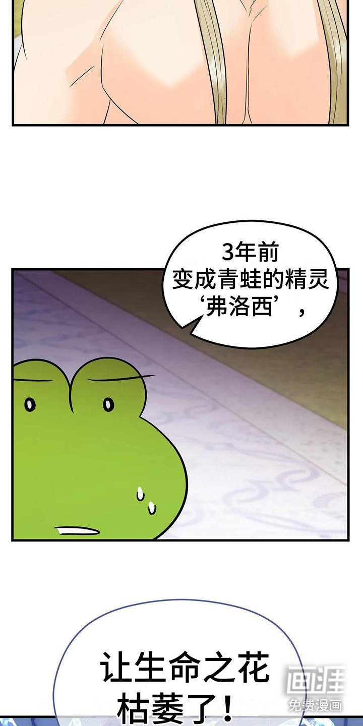 第6章：生命之花