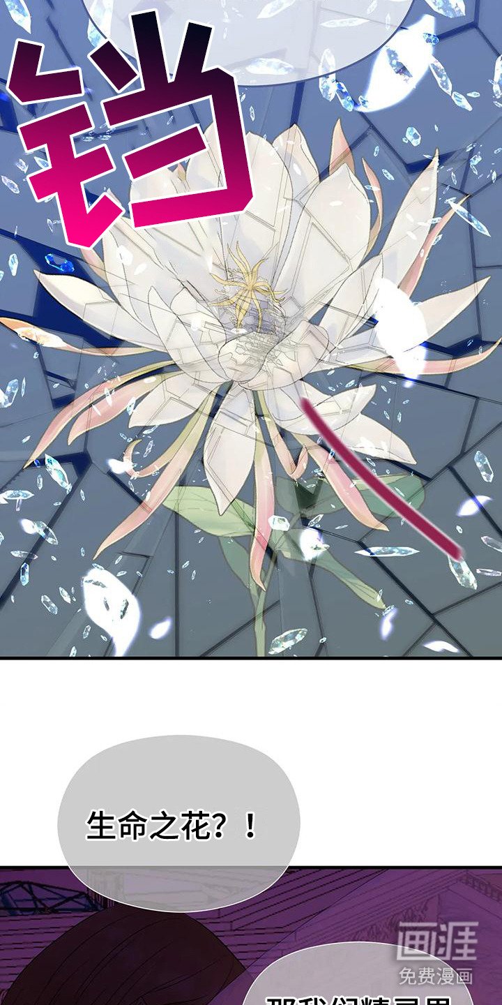 第6章：生命之花