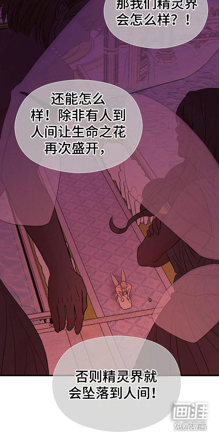第6章：生命之花