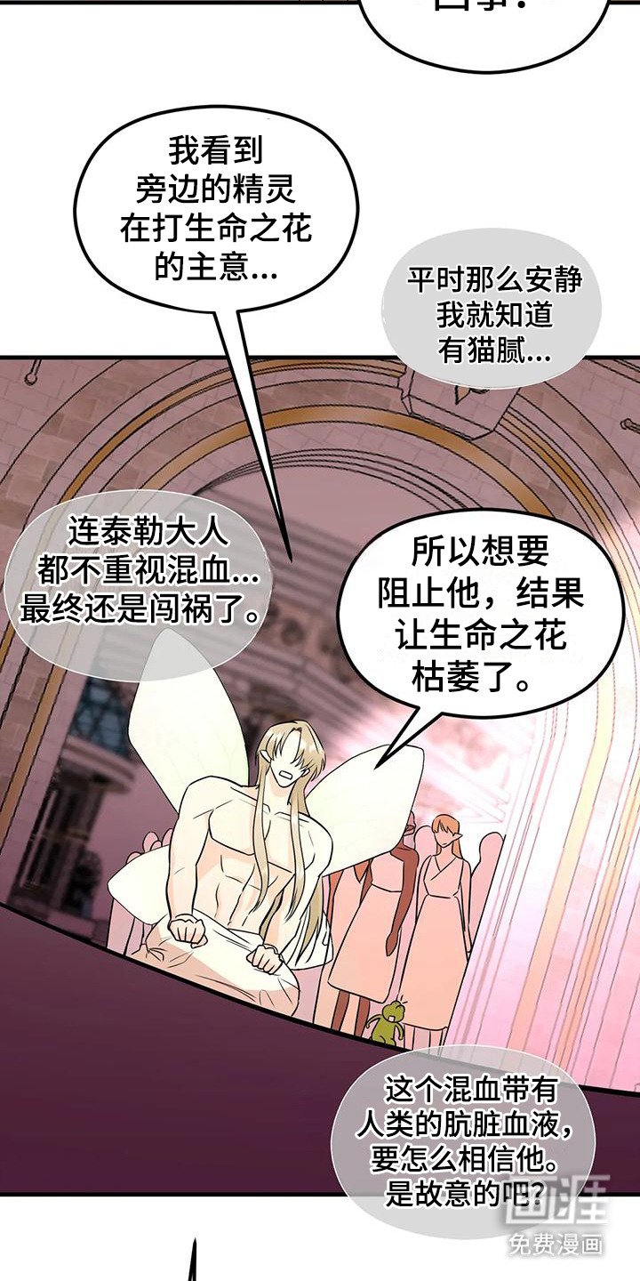 第6章：生命之花