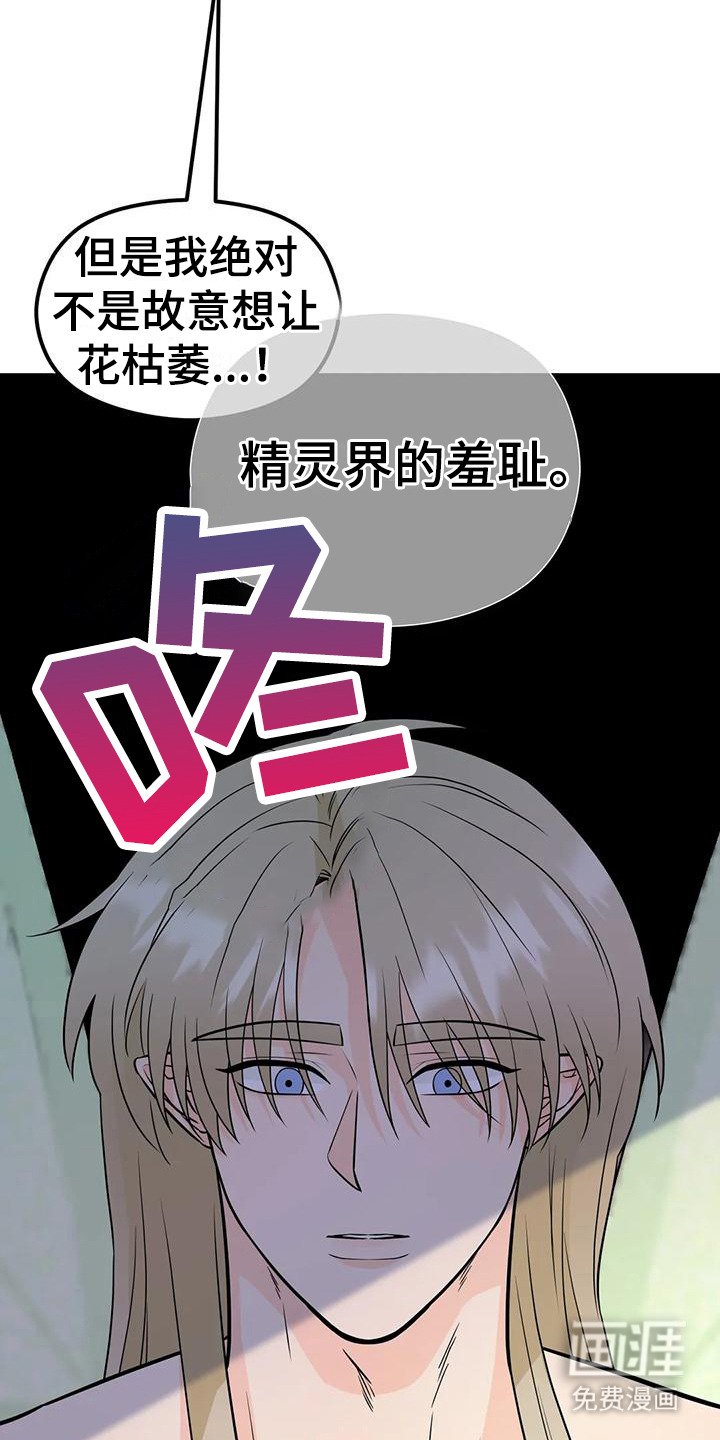 第6章：生命之花