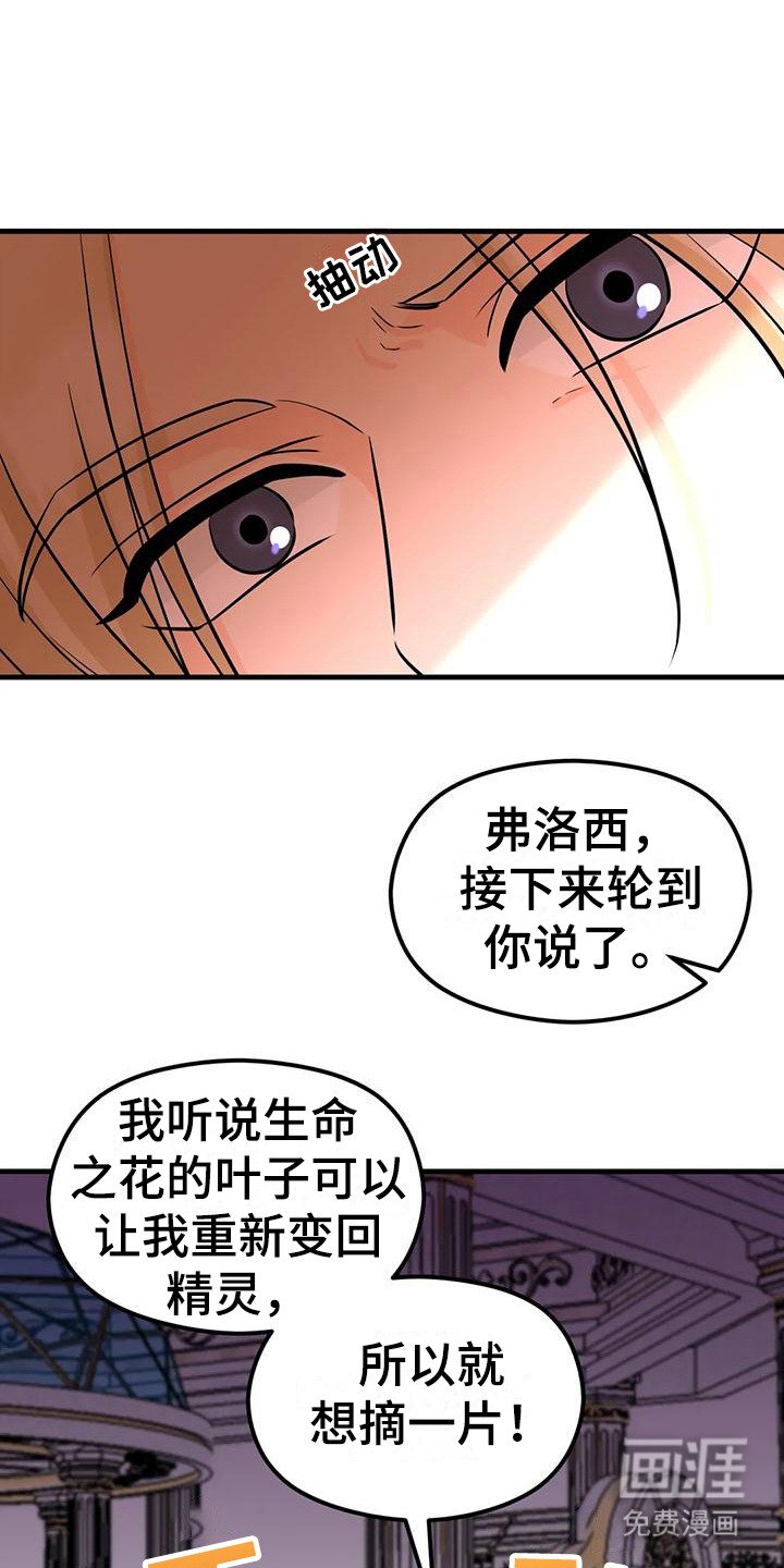 第6章：生命之花