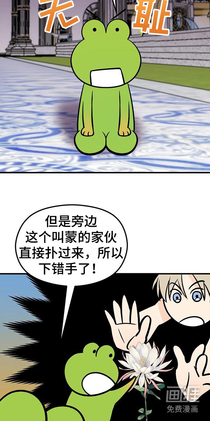第6章：生命之花