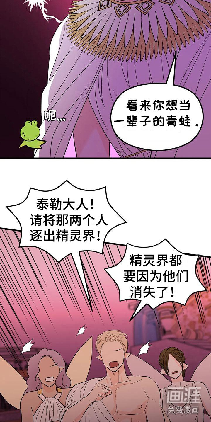 第6章：生命之花