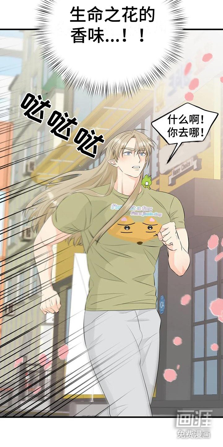 第9章：香味