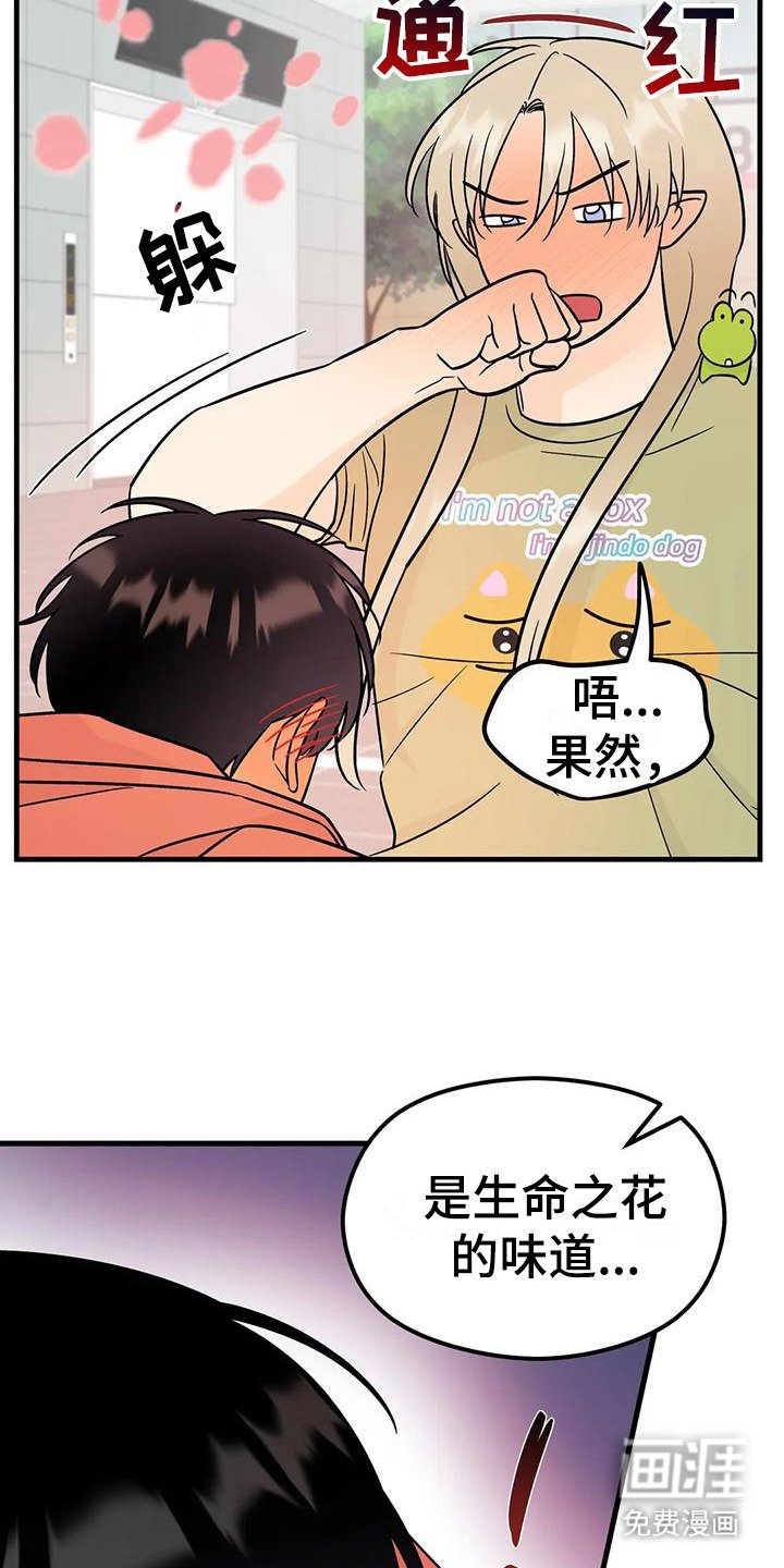 第9章：香味
