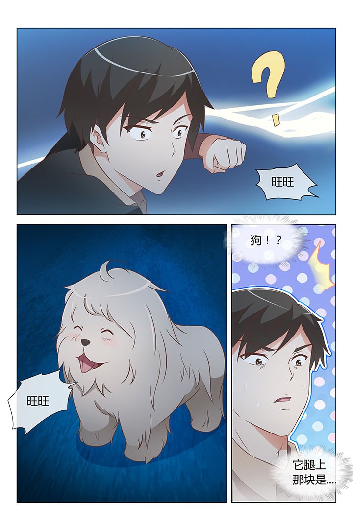 第11章：