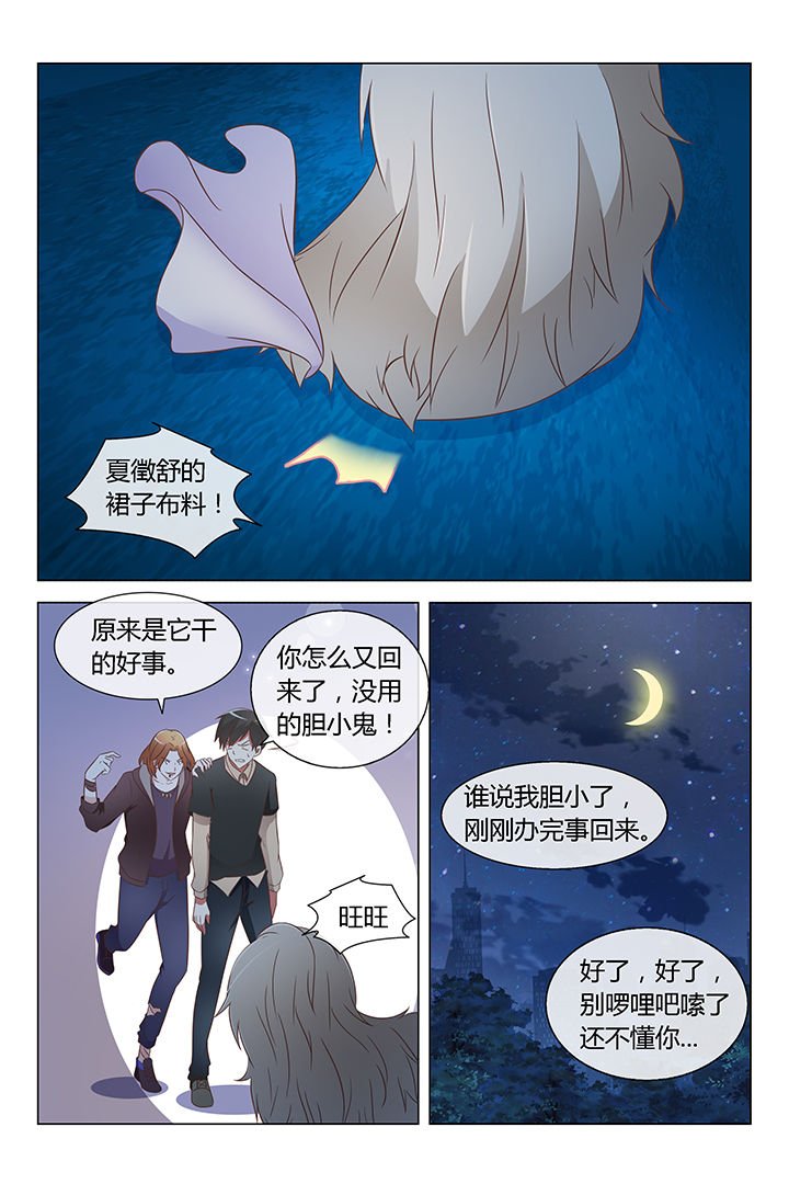 第11章：