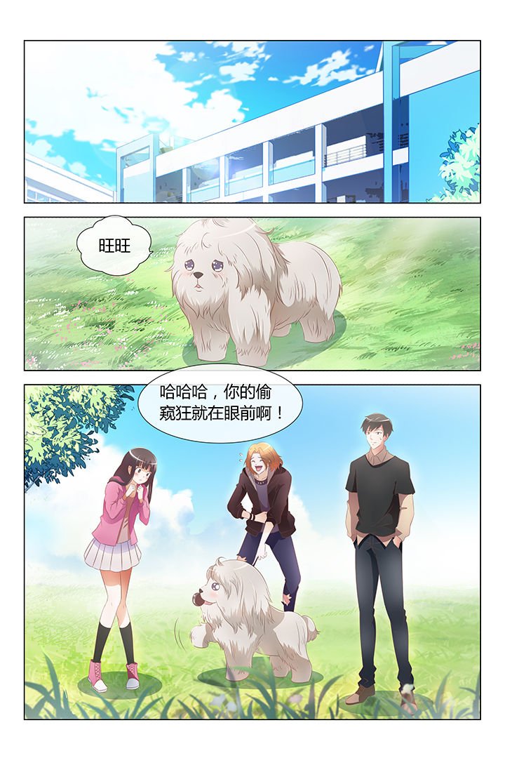 第12章：