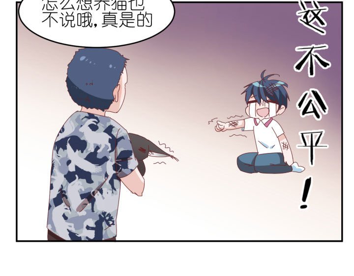 第14章：