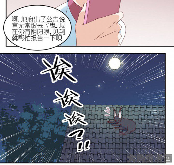 第43章：我在怕什么