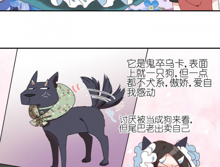 第48章：小日常