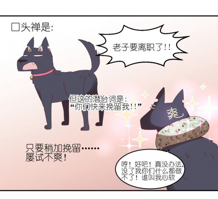 第48章：小日常