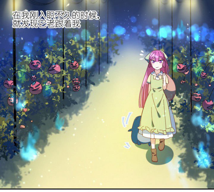 第48章：小日常
