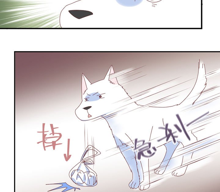 第56章：肉包