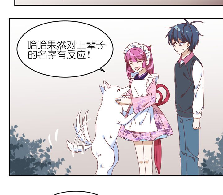 第56章：肉包