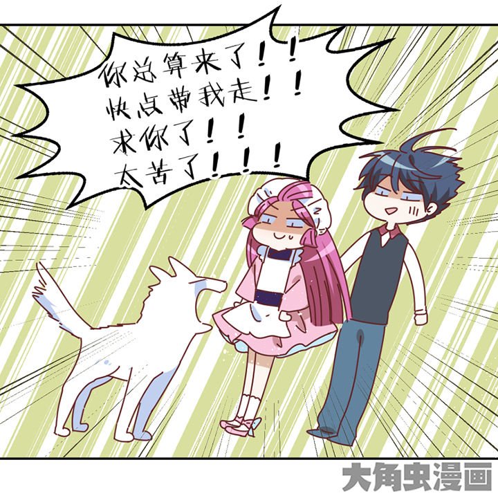 第56章：肉包