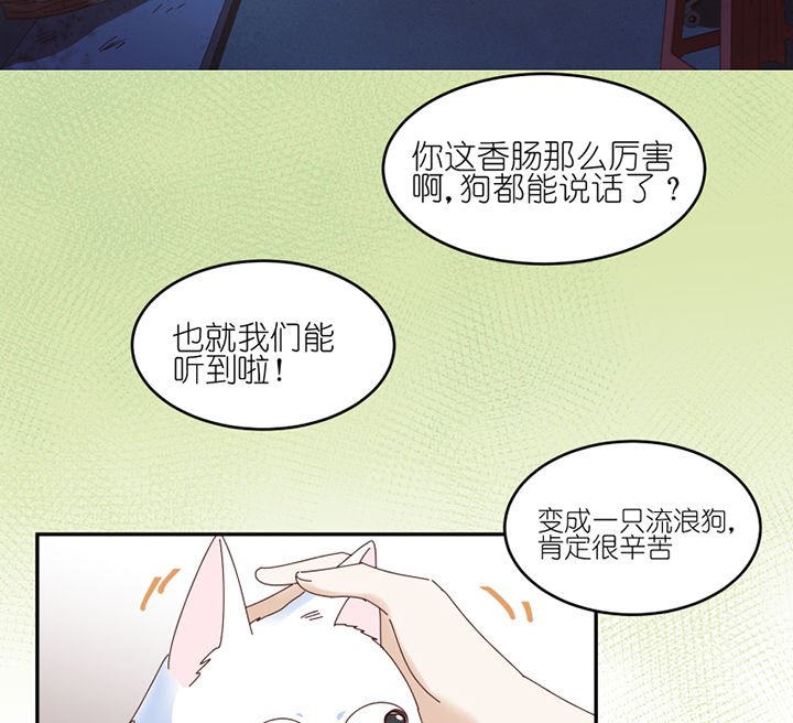 第57章：才不是流浪狗