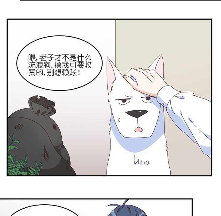 第57章：才不是流浪狗