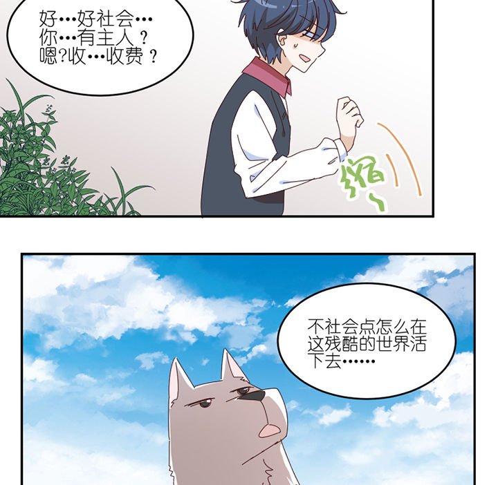 第57章：才不是流浪狗