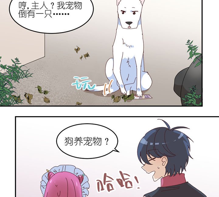 第57章：才不是流浪狗