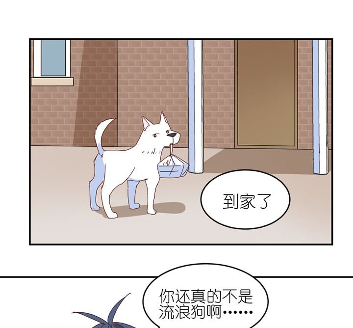第57章：才不是流浪狗