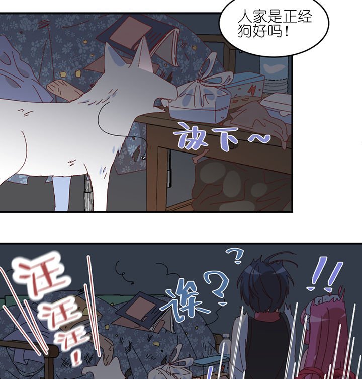 第57章：才不是流浪狗