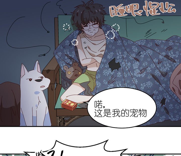 第57章：才不是流浪狗