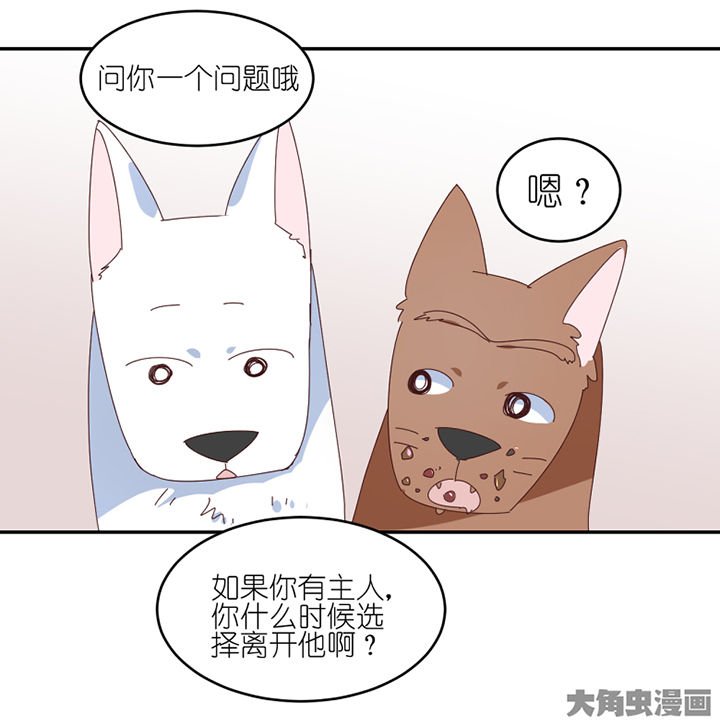 第58章： 主人？