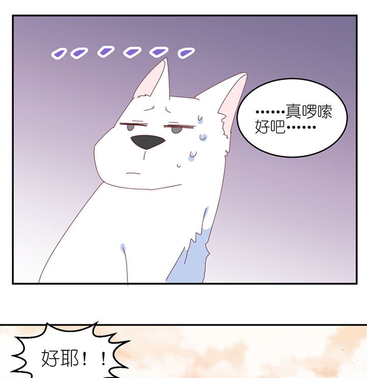 第58章： 主人？