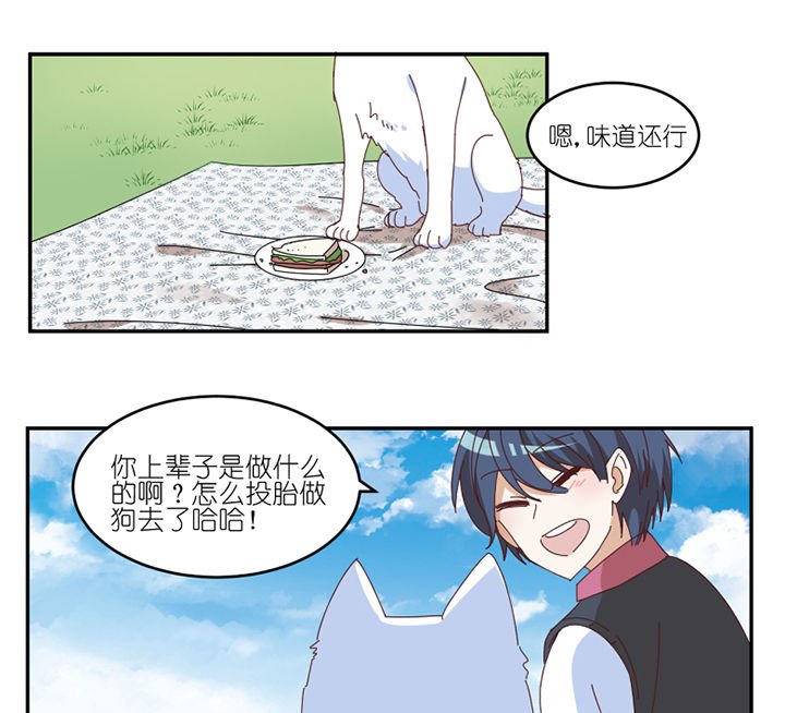 第59章：我讨厌狗