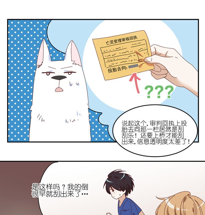 第59章：我讨厌狗