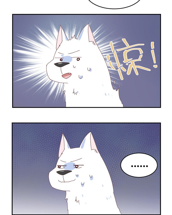 第59章：我讨厌狗