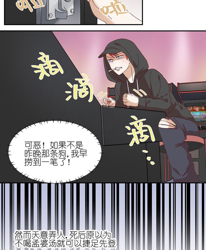 第59章：我讨厌狗