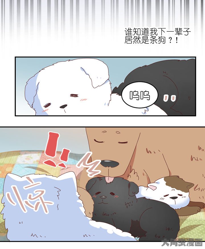 第59章：我讨厌狗