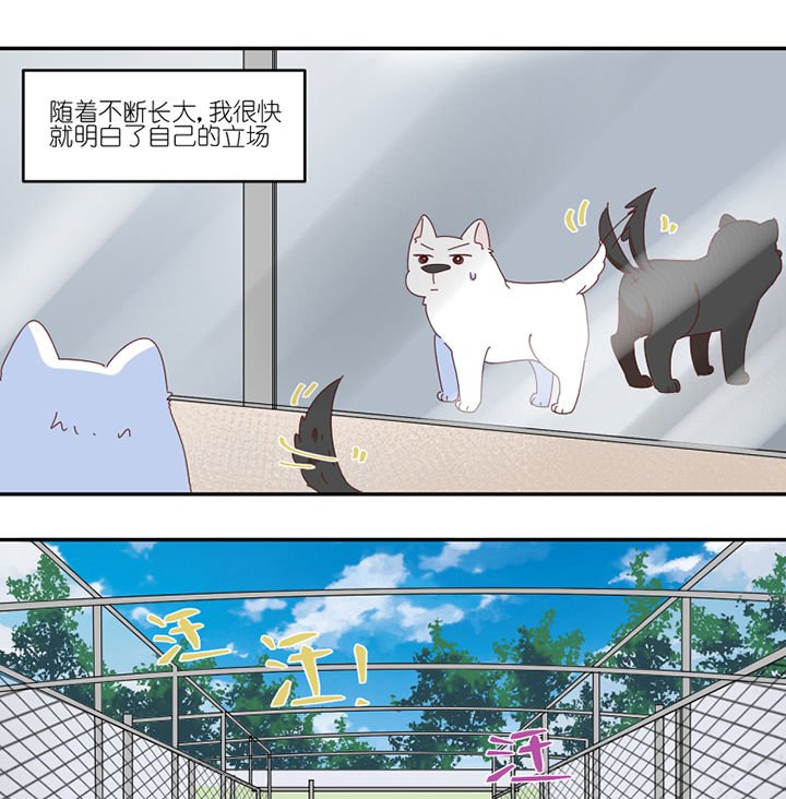 第59章：我讨厌狗