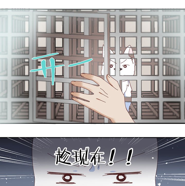 第59章：我讨厌狗