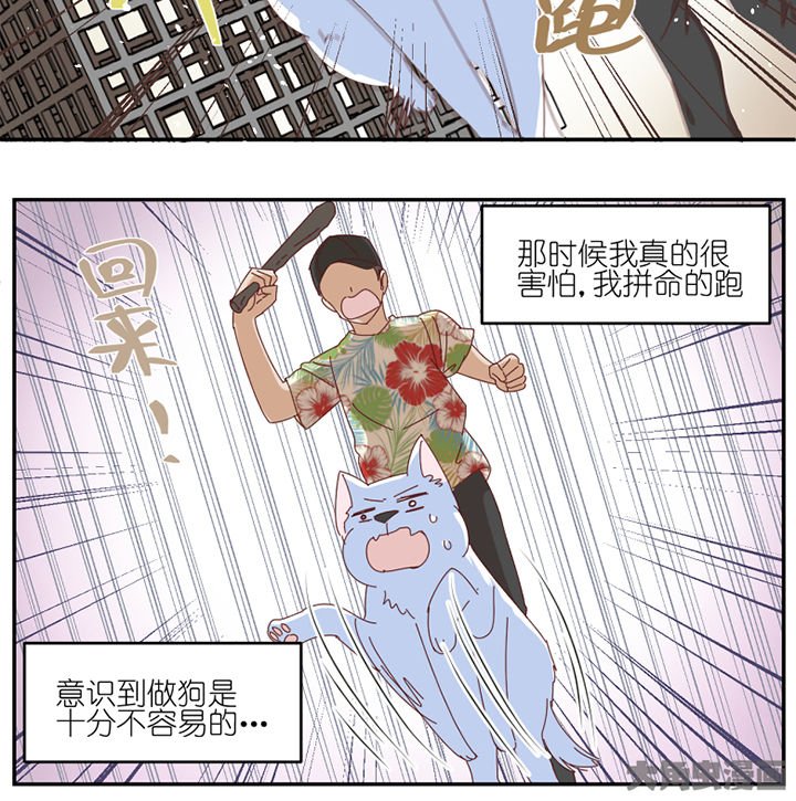 第59章：我讨厌狗