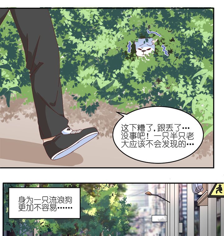 第59章：我讨厌狗
