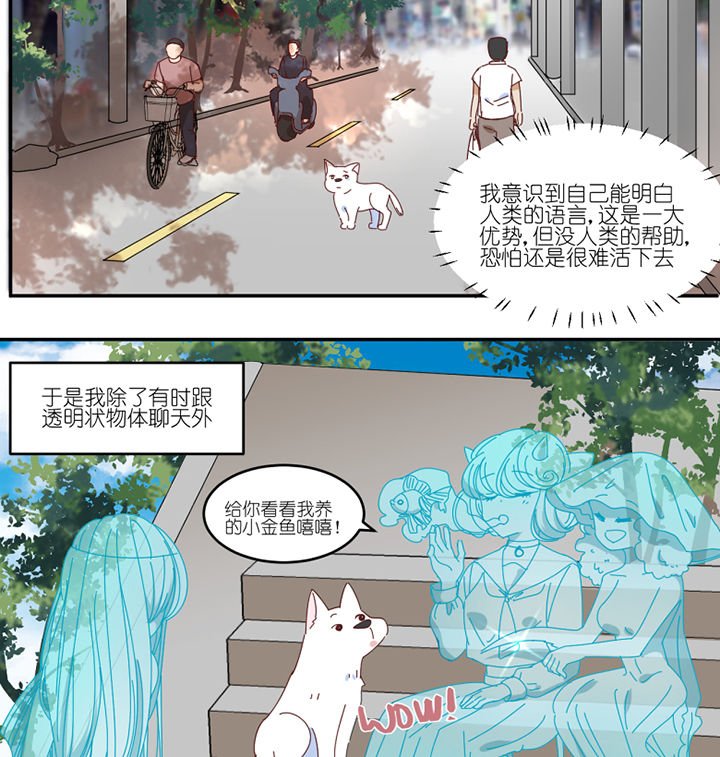 第59章：我讨厌狗