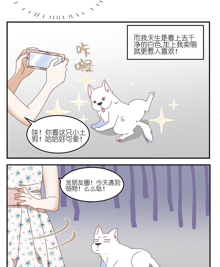 第59章：我讨厌狗