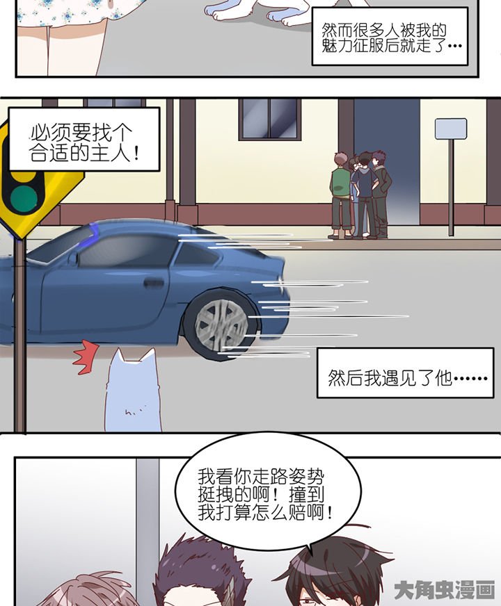 第59章：我讨厌狗