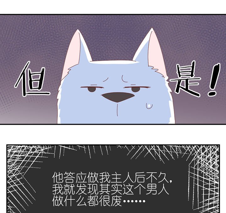 第60章：真面目