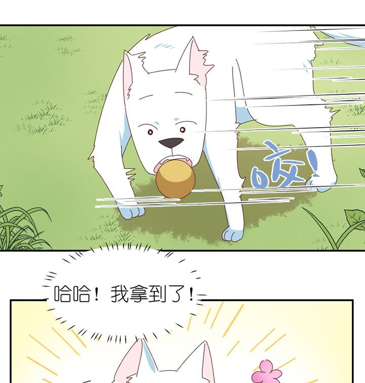 第62章：你不要我了吗