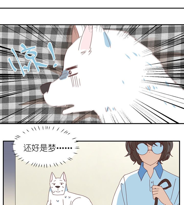 第62章：你不要我了吗