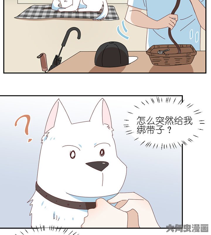 第62章：你不要我了吗